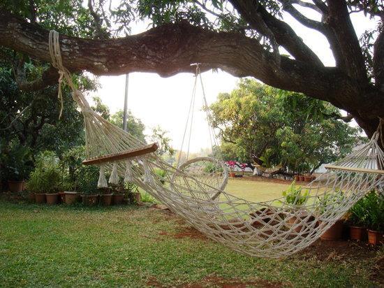 V Resorts Mahua Bagh Murud Nāndgaon Kültér fotó